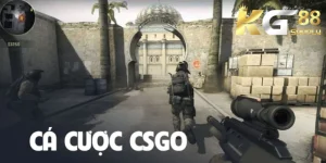 cá cược csgo